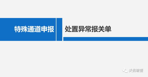 海關特殊通道申報丨處置異常報關單